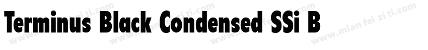 Terminus Black Condensed SSi Black字体转换